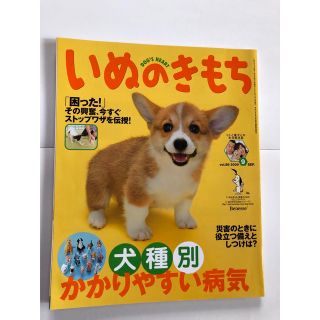 いぬのきもち　2009年9月号(専門誌)