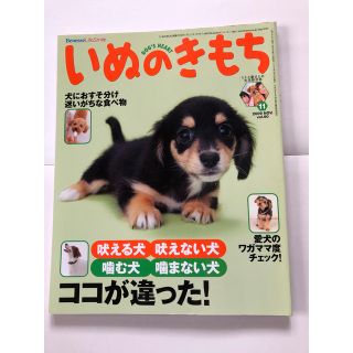 いぬのきもち　2009年11月号(専門誌)