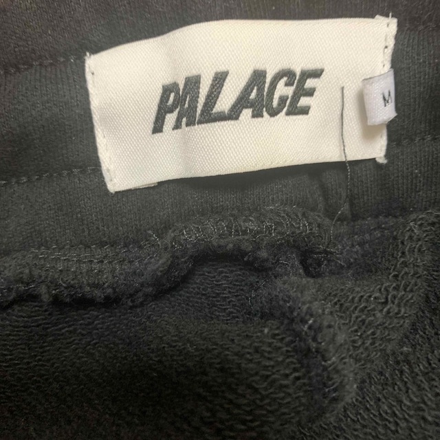 PALACE(パレス)のpalace メンズのパンツ(ペインターパンツ)の商品写真