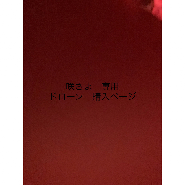 咲様専用　ドローン　再購入ページ その他のその他(その他)の商品写真