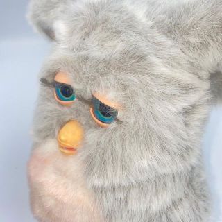 美品 ファービー2 クラウディグレー 青目 ピンクファー 動作OK 680