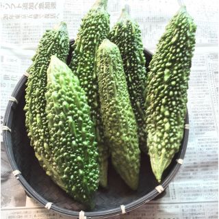 宮古島産ゴーヤー(6本)(野菜)