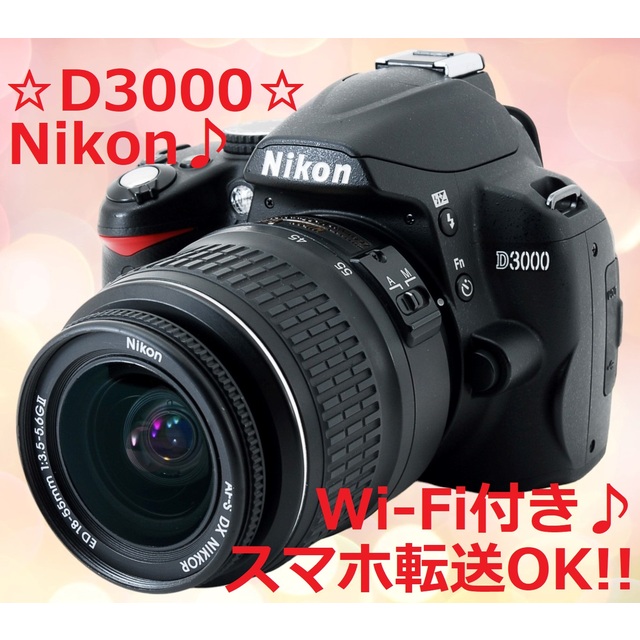 ☆Wi-Fi付き♪ショット数3611回!!☆ Nikon D3000 #5385