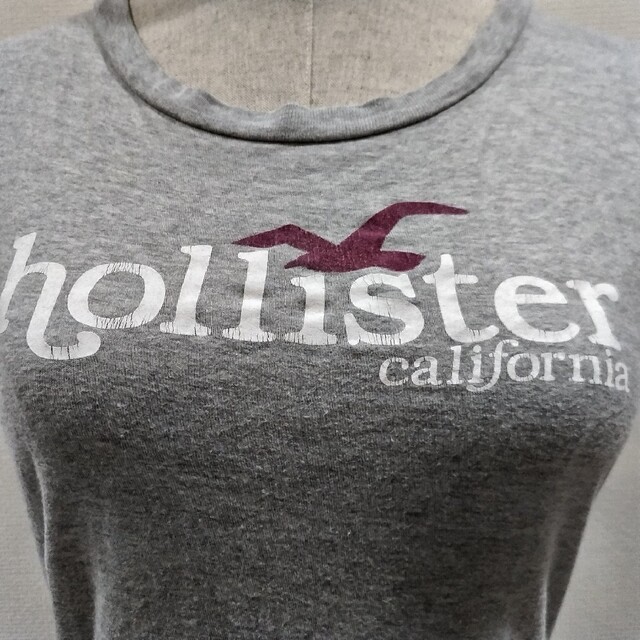 Hollister - ホリスターHollisterグレーＴシャツMサイズの通販 by ...