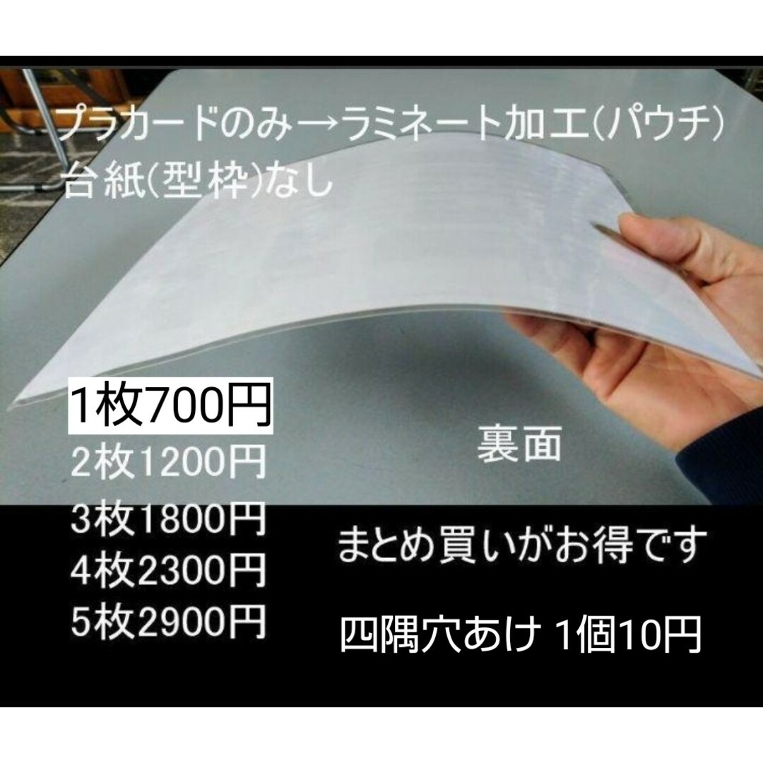 176迷惑対策プラカード『私有地につき進入禁止ホスティングチラシ投函禁止』 ハンドメイドのハンドメイド その他(その他)の商品写真