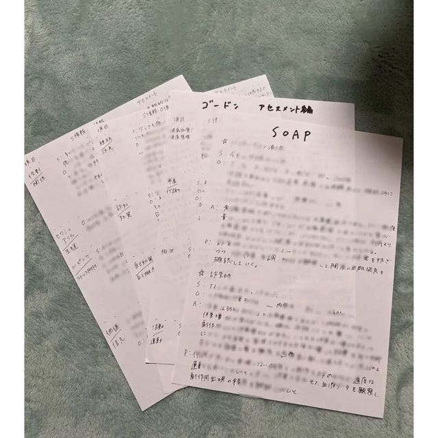 看護実習記録 SOAP ゴードン アセスメント レポート エンタメ/ホビーの本(健康/医学)の商品写真