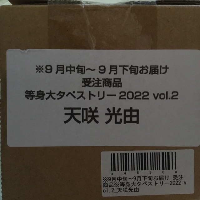 受注商品】スターダム 天咲光由 等身大タペストリー2022 未開封