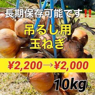 【到着後すぐに吊るせる‼️】玉ねぎ10キロ入❗️(野菜)