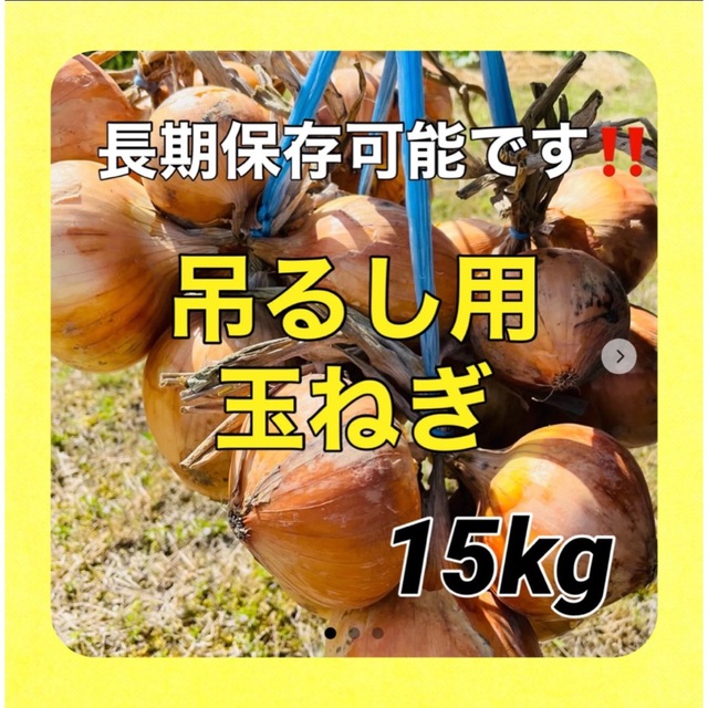 【吊るして保存可能‼️】採れたて新鮮玉ねぎ15キロ 食品/飲料/酒の食品(野菜)の商品写真