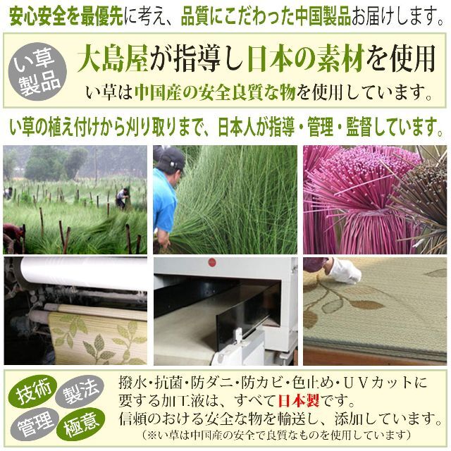 大島屋Ooshimaya 置き畳 ユニット畳 与那国 抗菌防臭 防音 軽量 ブラ 3