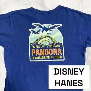 JBE Disneyland Hanes 青 ディズニー　パンドラ　Tシャツ(Tシャツ/カットソー(半袖/袖なし))