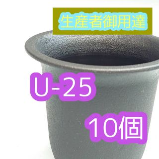 U25 10個 高級 プラ鉢 2.5号 U-25 多肉アガベ ユーフォルビア(プランター)