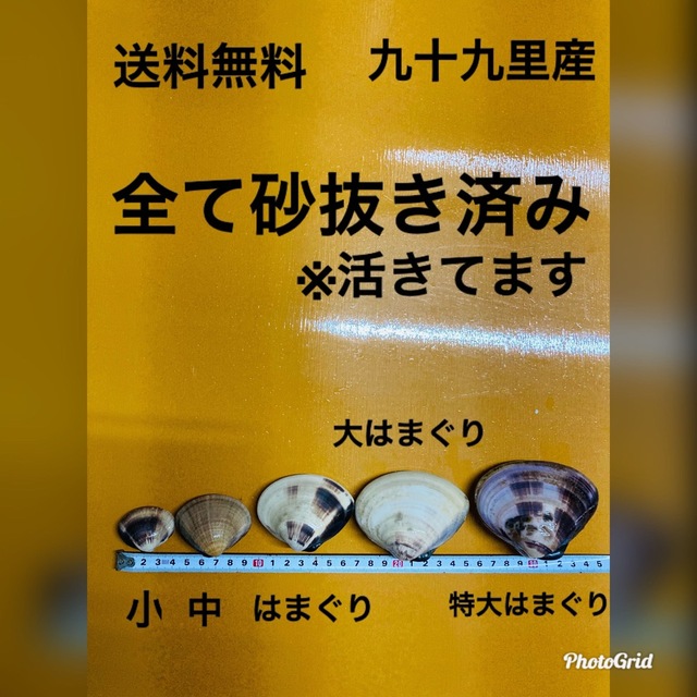 魚介九十九里産　活中はまぐり　4キロ