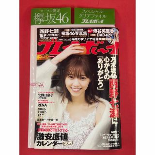 プレイボーイ(PLAYBOY)の週刊プレイボーイ 2019年No.1・2 西野七瀬 欅坂46 傳谷英里香(アート/エンタメ/ホビー)