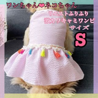 犬・猫  Sサイズ ペット服 ❤︎腰回りふりふりキャミワンピ 春夏服 ＜新品＞(犬)