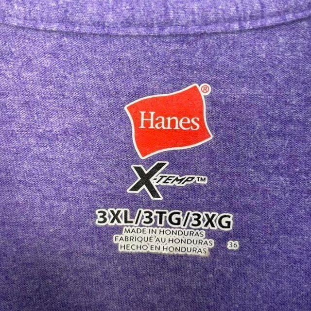 Hanes(ヘインズ)のUSA古着 Hanes Tシャツ ユニコーン 刺繍 キャラ 超ビックサイズ 紫 メンズのトップス(Tシャツ/カットソー(半袖/袖なし))の商品写真