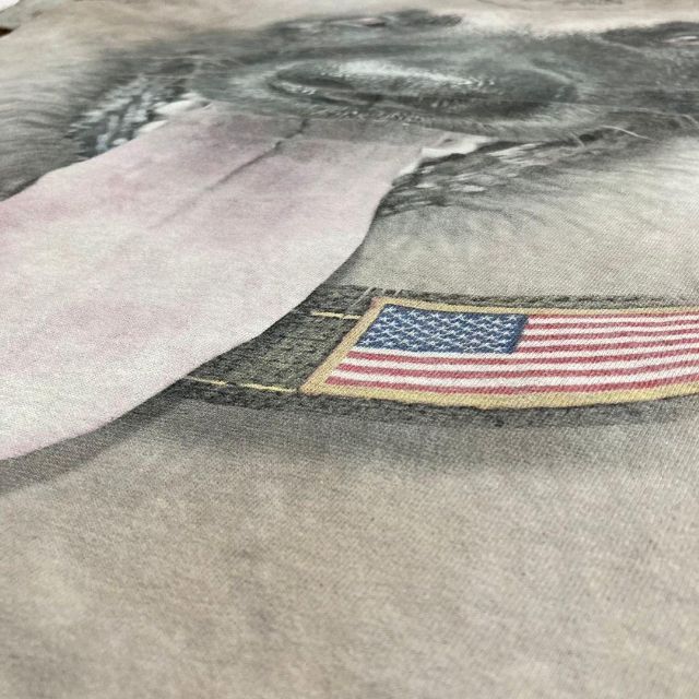HUT THE MOUNTAIN ザマウンテン　犬　アニマル　アメリカ Tシャツ メンズのトップス(Tシャツ/カットソー(半袖/袖なし))の商品写真