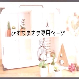 ぴすちまさま専用ページ(オーダーメイド)