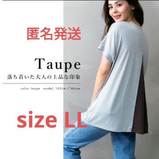 【新品セール品！】バックプリーツ 配色切り替え カットソー  半袖トープ  LL(Tシャツ(半袖/袖なし))