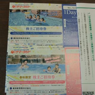 【匿名配送】サマーランド 株主優待 16枚(遊園地/テーマパーク)