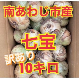 新たまねぎ　淡路島たまねぎ　訳あり　10キロ(野菜)