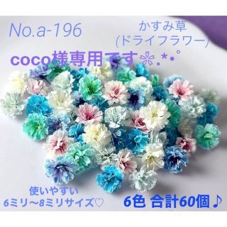 coco様専用です❀.*･ﾟNo.a-196 かすみ草(ドライフラワー)(ドライフラワー)