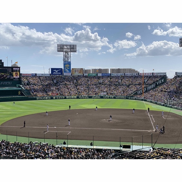 阪神タイガース(ハンシンタイガース)の5月27日　甲子園　阪神vs巨人　グリーンシート通路側2席 チケットのスポーツ(野球)の商品写真