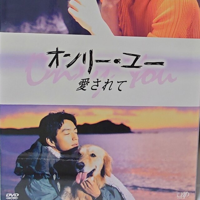 稲森いずみオンリー・ユー　～愛されて～　DVD-BOX DVD