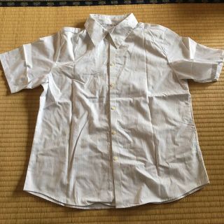 ブラウス　半袖　ストライプ(水色白)(O22)(シャツ/ブラウス(半袖/袖なし))