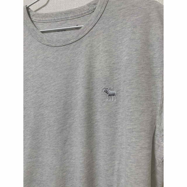 Abercrombie&Fitch(アバクロンビーアンドフィッチ)の【新品タグ付き】アバクロ Tシャツ メンズのトップス(シャツ)の商品写真