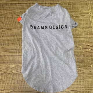 ビームス(BEAMS)のビームス   BEAMSDESIGN  犬　ウェア(犬)