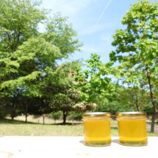 アカシアの生ハチミツ【150g】×2本 2023/5採蜜(調味料)
