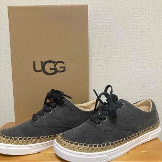 アグ(UGG)の新品❣️UGG キャンパスシューズ(スニーカー)