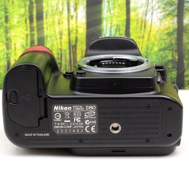 Nikon D80☆スマホに転送OK☆色鮮やか一味違う一眼レフ☆3287 Nikon D80☆スマホに転送OK☆色鮮やか一味違う一眼レフ☆3287