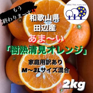 和歌山県田辺産 清見オレンジ きよみ 清美 柑橘 蜜柑 みかん 2kg(フルーツ)