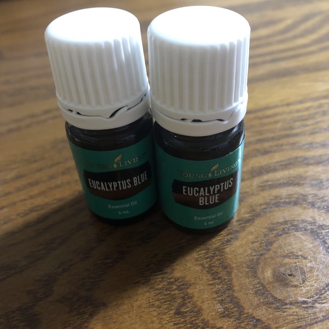 young living ヤングリビング　ユーカリブルー　一本 コスメ/美容のリラクゼーション(エッセンシャルオイル（精油）)の商品写真