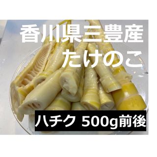 [限定販売]香川県三豊産たけのこ　破竹　500g(野菜)