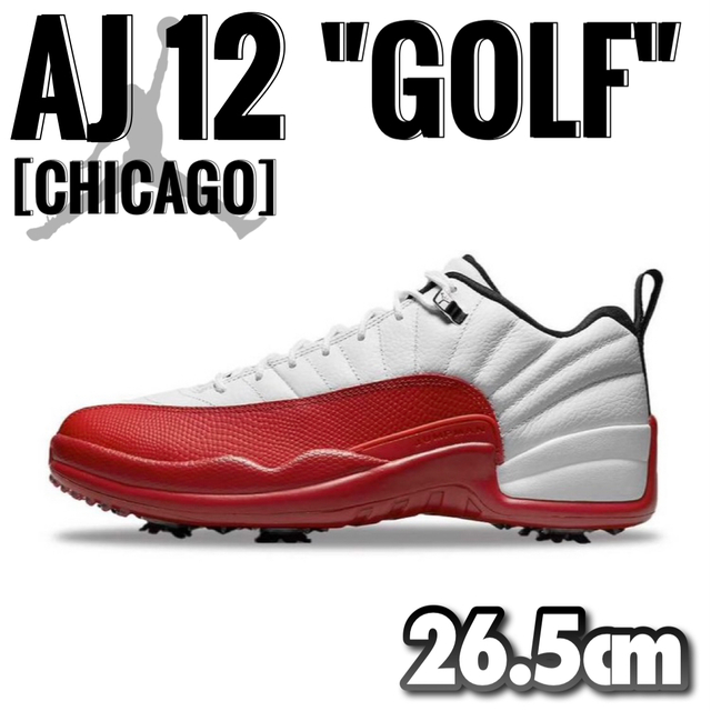 新品 希少 AIR JORDAN 12 LOW GOLF \