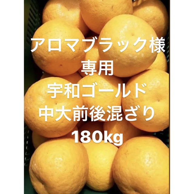 アロマブラック様　専用　愛媛県産　宇和ゴールド　河内晩柑　180kg 食品/飲料/酒の食品(フルーツ)の商品写真