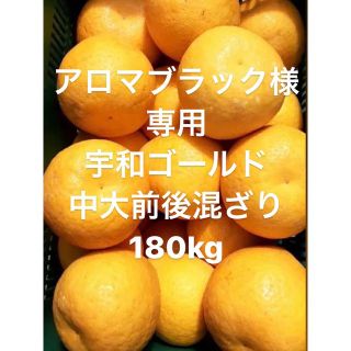 アロマブラック様　専用　愛媛県産　宇和ゴールド　河内晩柑　180kg(フルーツ)