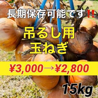 【吊るせて保存‼️】採れたて❗️玉ねぎ15キロ入‼️(野菜)