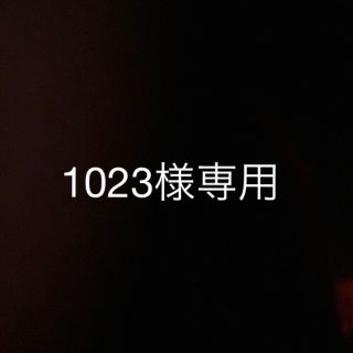 1023様専用(その他)