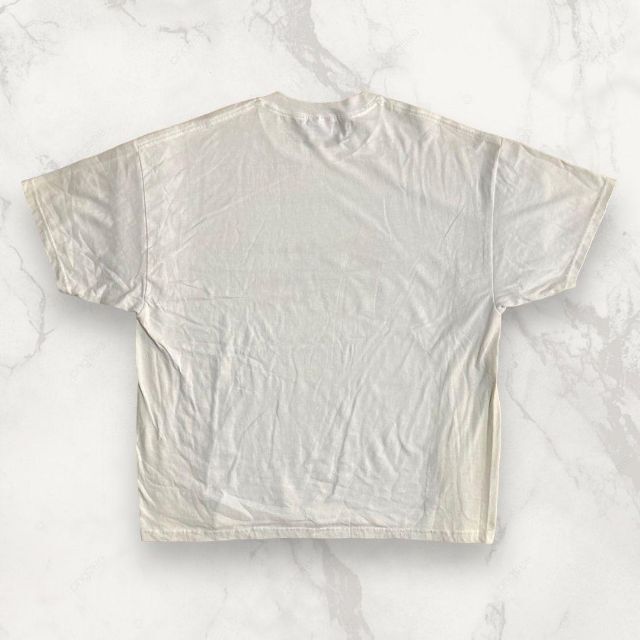 HMR Hanes ビンテージ 90s 登山　アメリカ　USA 星条旗 Tシャツ メンズのトップス(Tシャツ/カットソー(半袖/袖なし))の商品写真