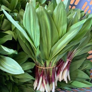 北海道道北産行者ニンニク250g(野菜)