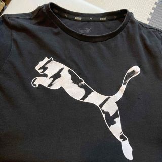 プーマ(PUMA)のTシャツ(Tシャツ/カットソー)