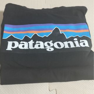 パタゴニア(patagonia)の【中古】パタゴニアチャンピオン黒T2枚セットXL(Tシャツ/カットソー(半袖/袖なし))