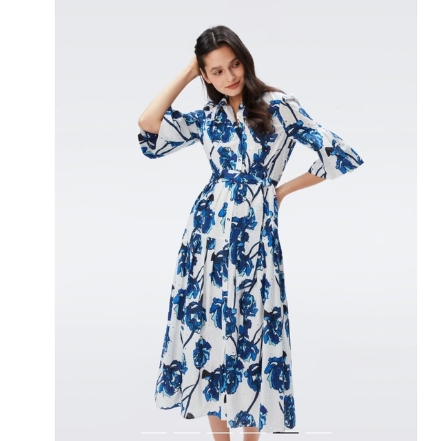 DIANE von FURSTENBERG(ダイアンフォンファステンバーグ)のDiane von Furstenberg DVF  ワンピース Dress レディースのワンピース(ロングワンピース/マキシワンピース)の商品写真