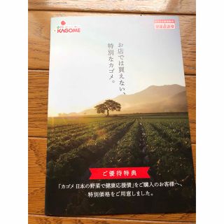 カゴメ(KAGOME)のカゴメ「つぶより野菜」定期お届けコースハガキ付きチラシ(ソフトドリンク)