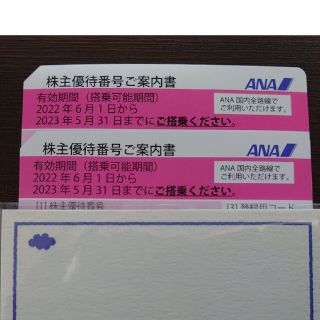 エーエヌエー(ゼンニッポンクウユ)(ANA(全日本空輸))のANA（全日空）株主優待券　2枚セット(その他)