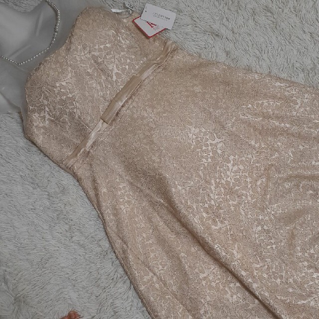 未使用　パール　シースルー　オーガンジー　ドレス　ワンピース　大きいサイズ　４L レディースのワンピース(ひざ丈ワンピース)の商品写真
